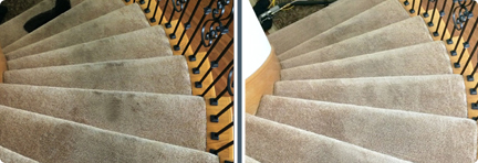 Carpet Cleaning The Woodlands